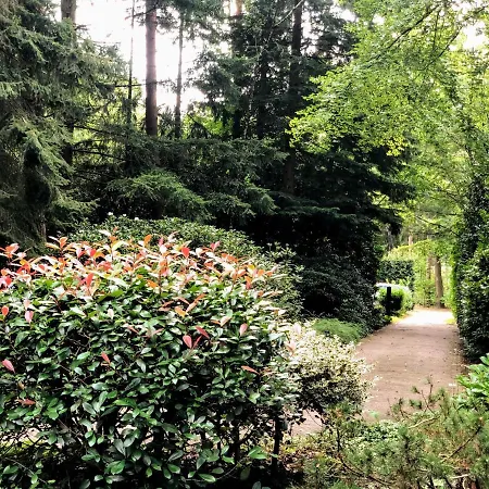 Bungalow Met Uitzicht Op Eigen Bos *
