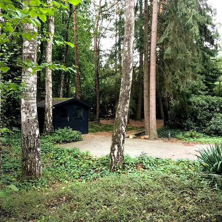 Bungalow Met Uitzicht Op Eigen Bos Casa de Férias Lochem